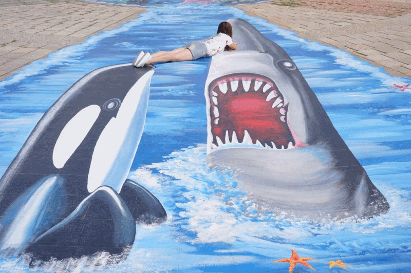 [台中景點●梧棲] 頂魚寮公園 -- 海洋主題3D地景藝術，和虎鯨、鯊魚一起拍照