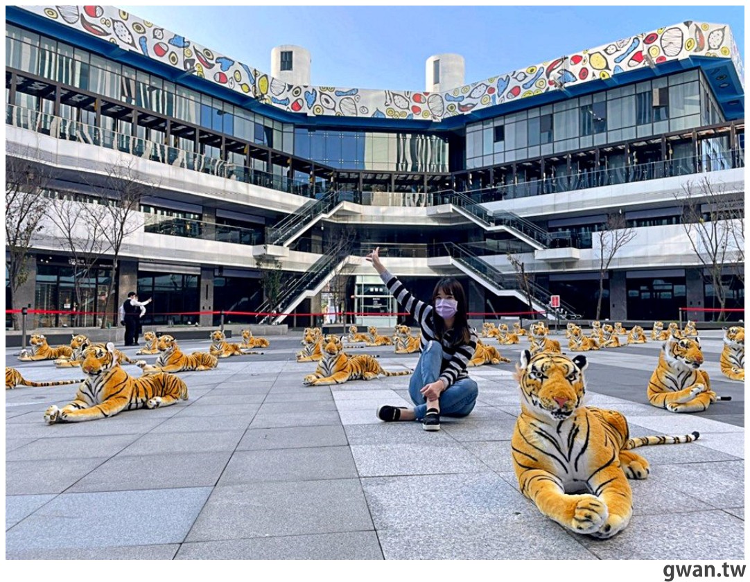 台中虎年新景點，期間限定免費參觀，50隻小老虎等你來拍照！
